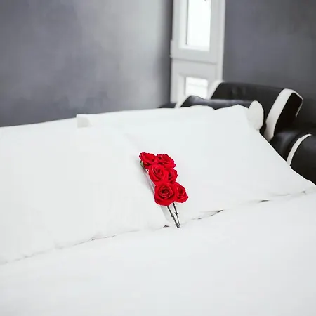 Luxury Loft In Center Next To Metro Appartement *
